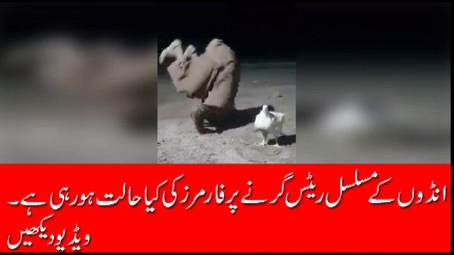 پولٹری کے موجودہ حالات اور تیار مال کے ریٹس دیکھ کر فارمرز کی حالت یہ ھورھی ھے