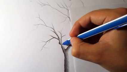 TUTORIAL de dibujo básico El boceto avanzado a lápiz paso a paso