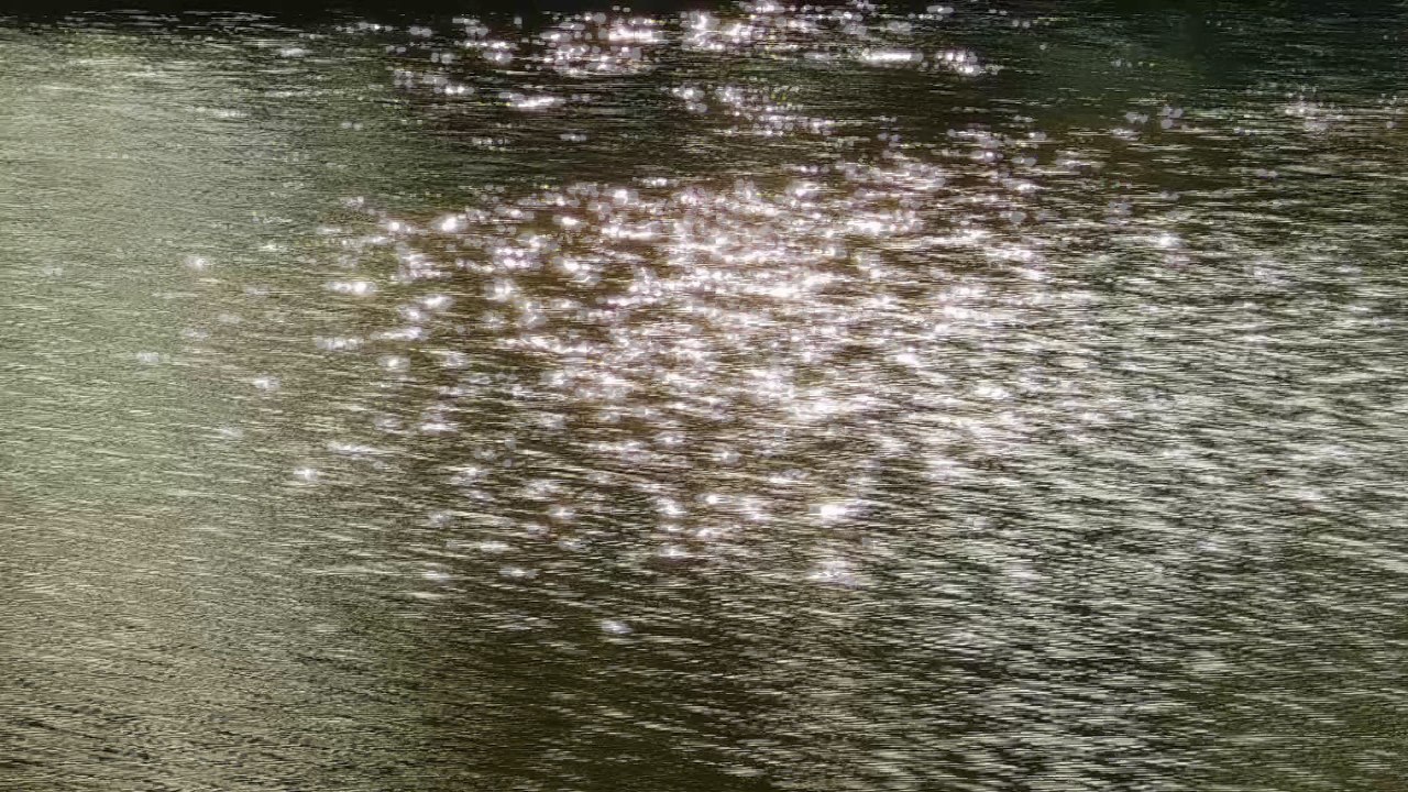 sun light reflection on pond water