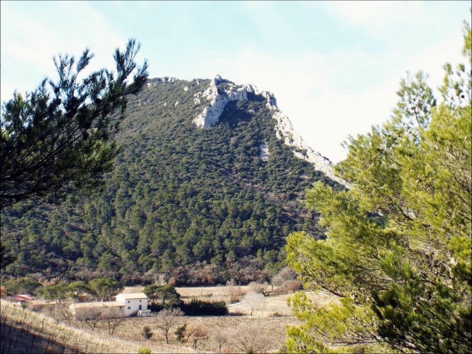 Dentelles de Montmirail (84)