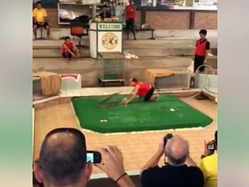 Lailailai fear factor