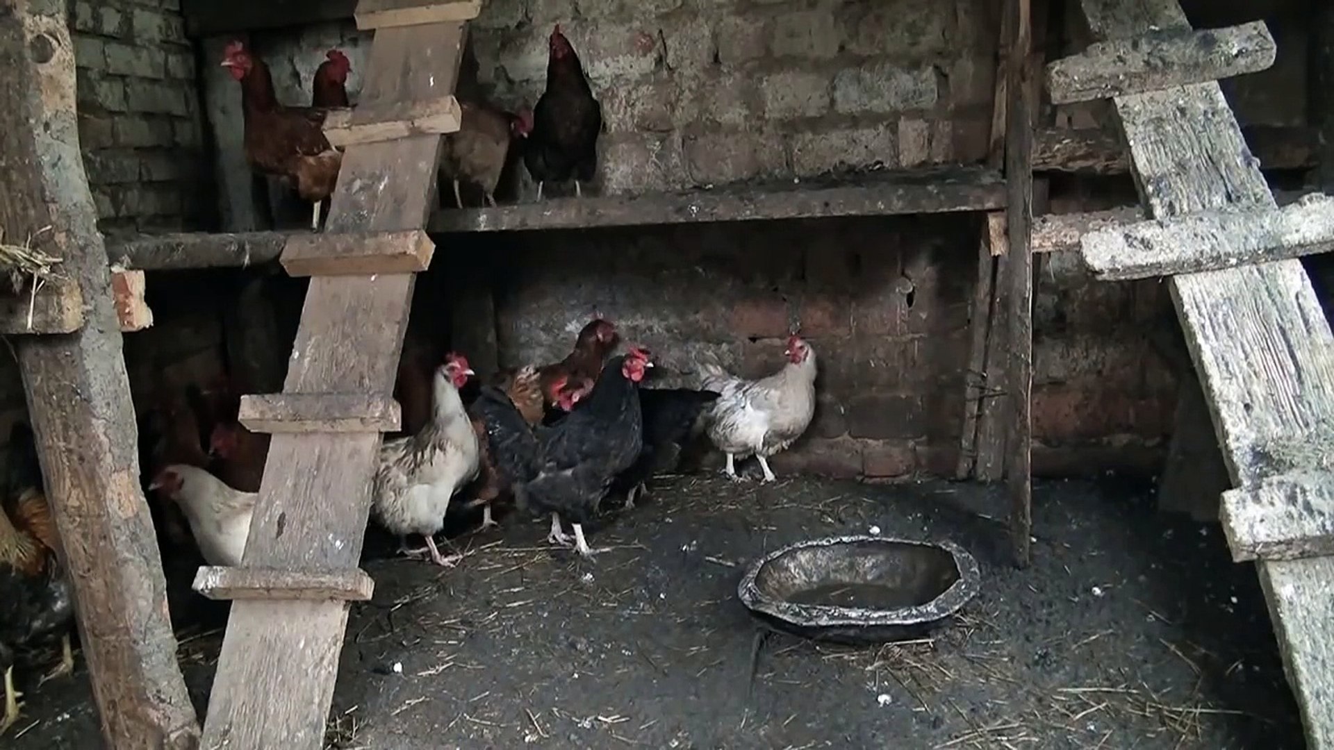 Когда возмущаешся падением биткоина