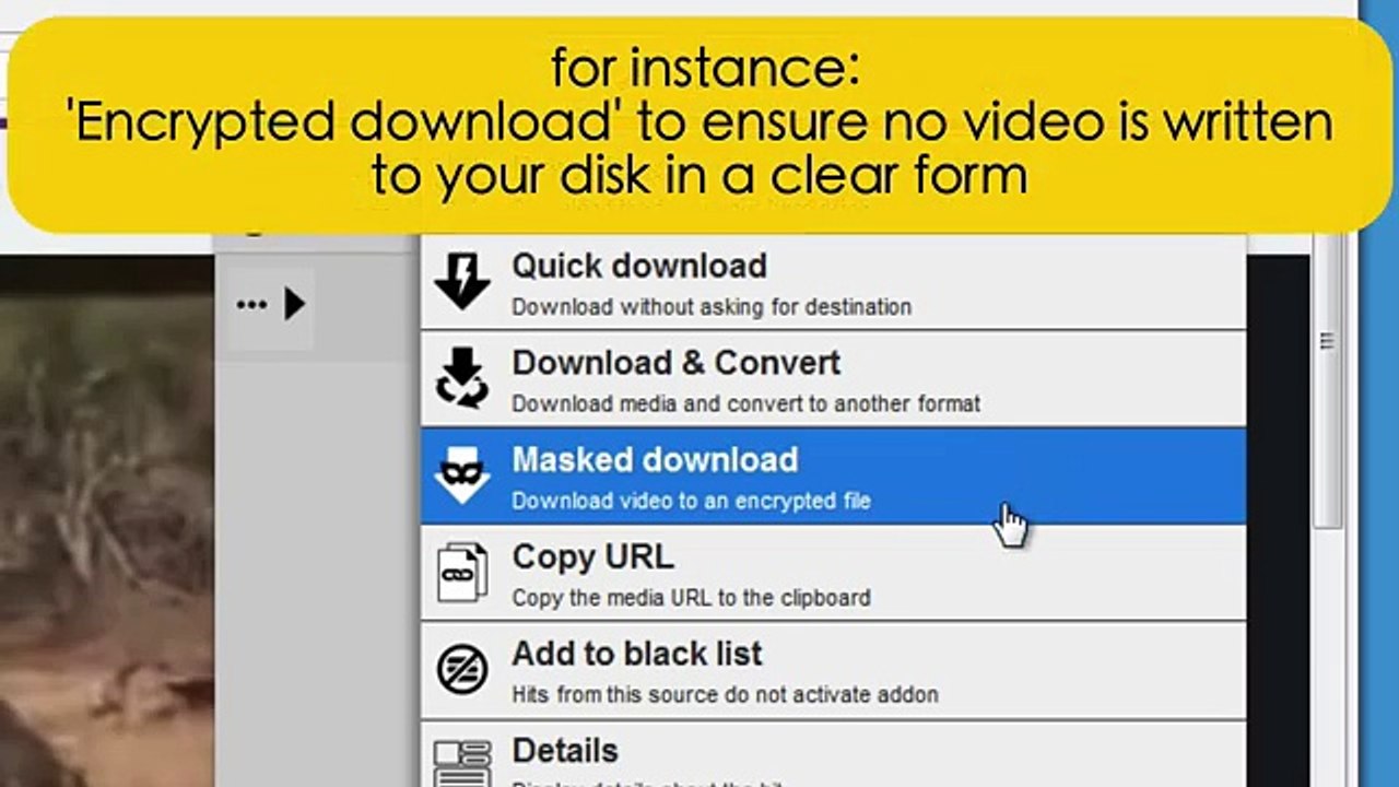 Video DownloadHelper 6 User interface basics