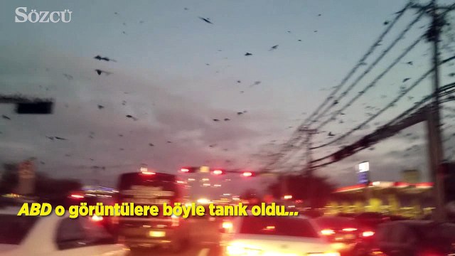 Ürküten görüntü!