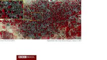 Imagens de satélite mostram destruição na Nigéria após ataque do Boko Haram