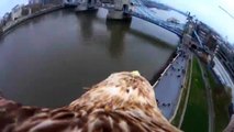 Águia sobrevoa pontos turísticos de Londres com câmera