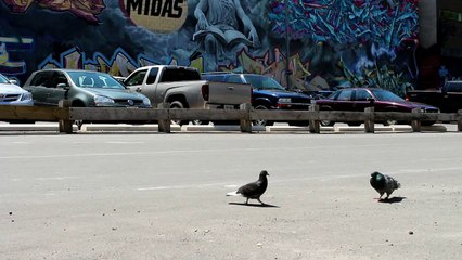 Renault reveals Kwid Super Hero Edition in association with Marvel Entertainment