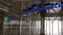 Curatarea vaselor in masina de spalat vase RealLife Electrolux