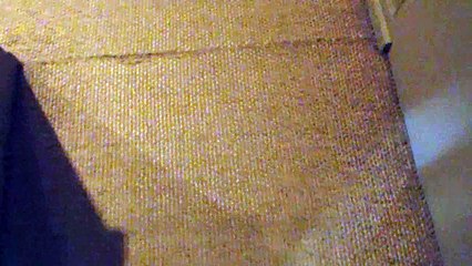 Montacute House - Second Floor - Art Gallery - Video 4