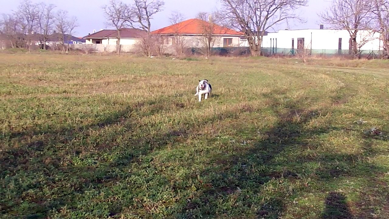 Stella Nero Jan18 Malinovo 02