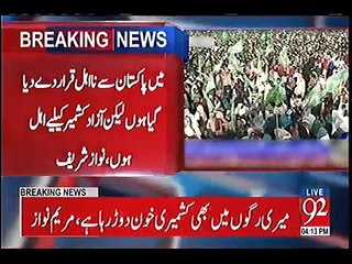 Nawaz Sharif Is An Asset Of India In Pakistan - Fawad Ch