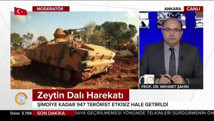 Zeytin Dalı Harekatı