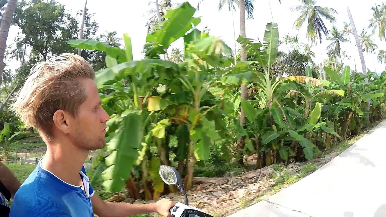 Video Runaway, finding a new home in tropics