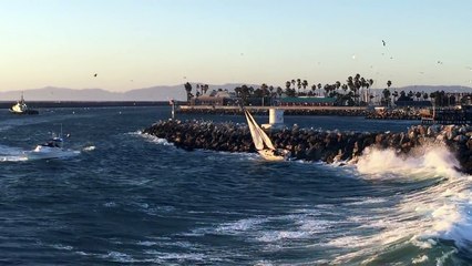 Sauvetage d'un voilier drossé contre une jetée