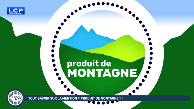 Test Dailymotion 05/02