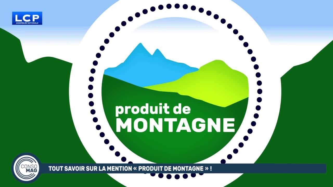 Test Dailymotion 05/02