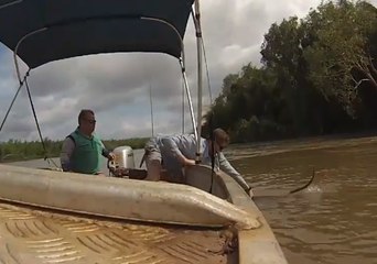 Men Rescue Wallabies and Pig During Fishing Trip on Flooded Adelaide River