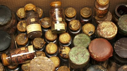 Herbier #1 - Déménager, c'est toute une histoire !