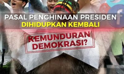 Pasal Penghinaan Presiden, Kemunduran Demokrasi?