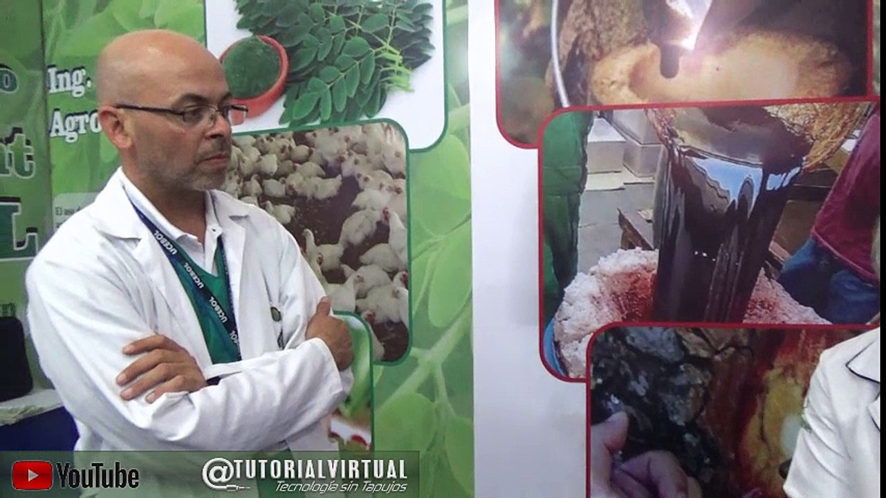 Proyecto Sangre de Grada UCEBOL Expociencia UAGRM Fexpocruz