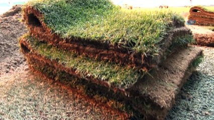 Bursaspor’da çim sorununun nedeni yanlış ilaçlama