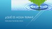 Atahualpa Fernández: Conoce el proceso de producción de Aguas Tiuna