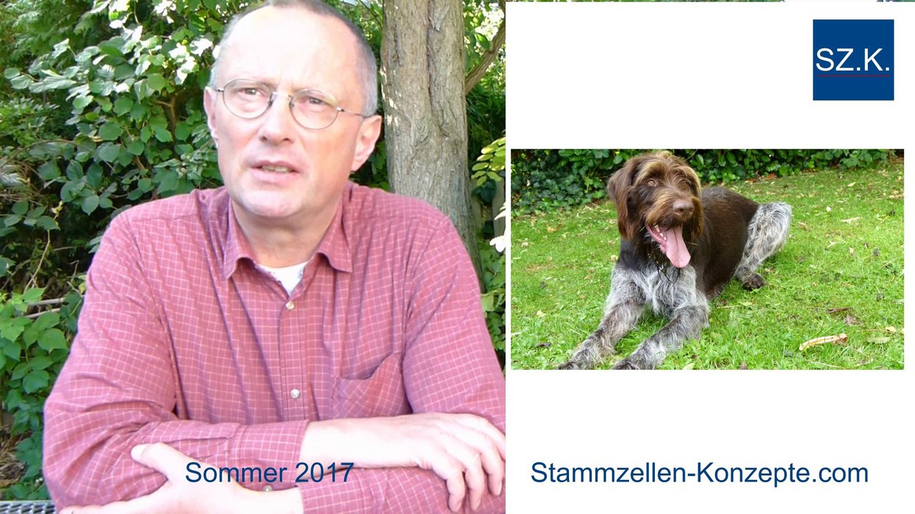 Fallbeispiel Arthrose-Behandlung beim Hund Monty mit Stammzellen: Tierarzt aus Dinslaken berichtet