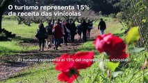 Turismo y Vino en la Serra Gaúcha – Brasil