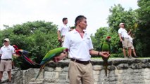 Travel Track On Sirk TV: XCARET - NATURE INTERLUDE [Quintana Roo, Mexico]