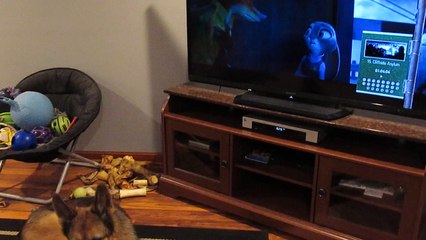 Howling with Wolves from Zootopia