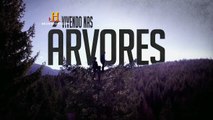 VIVENDO NAS ÁRVORES - Sneak Peek