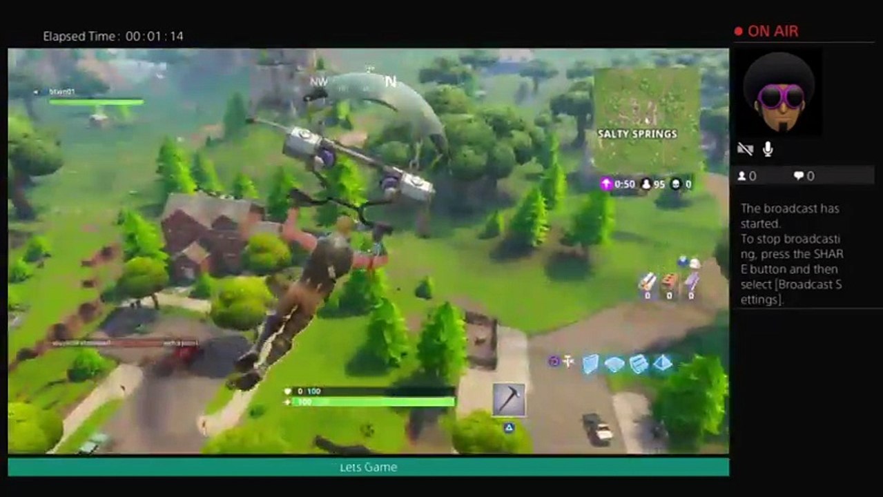 Lets go try get my 1st victory royale (2)