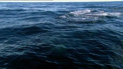 El refugio de los monstruos - ¡Ahora en alta calidad! (Parte 3/5)