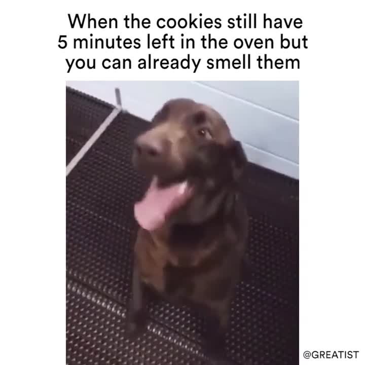 Cookies