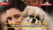 Check out these adorable little furry friends of your favourite TV stars. | Latest News