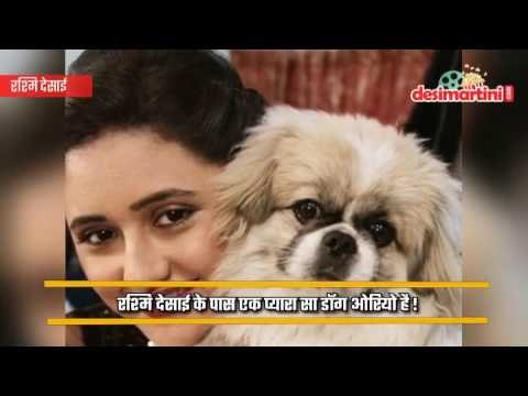 Check out these adorable little furry friends of your favourite TV stars. | Latest News