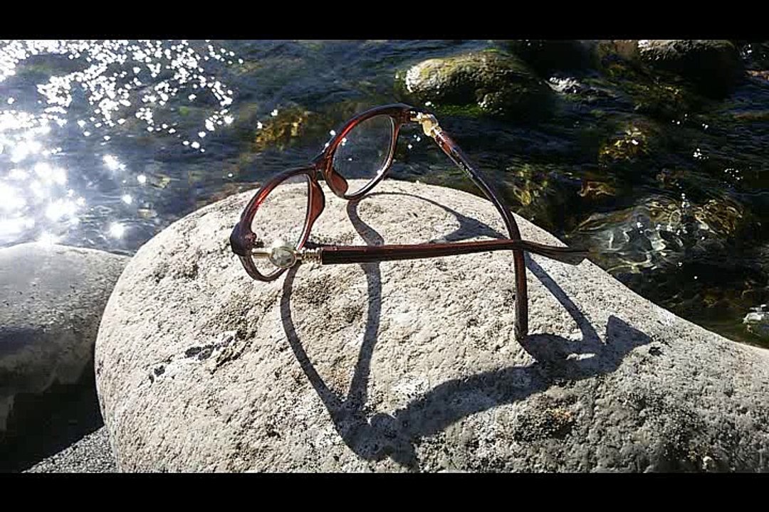 Eyeglasses Blunt