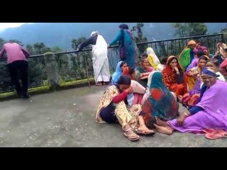 Wild animal trapped in house almost 11 hours