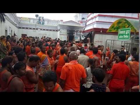 Shiv devotee doing pooja in basukinath