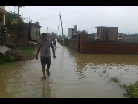 Immersed in Ganga Ghats