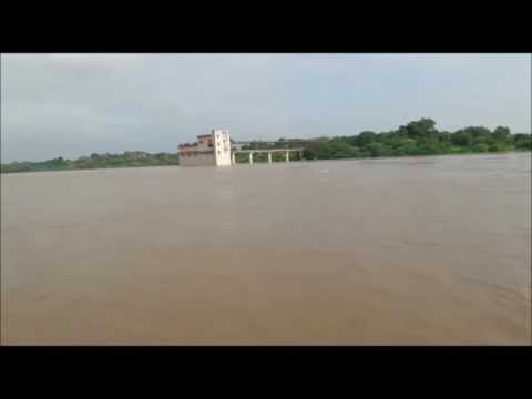 Flood in chambal river people migrat to safe place