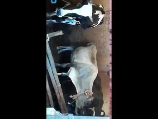 Water enters in ganga tower in bihar