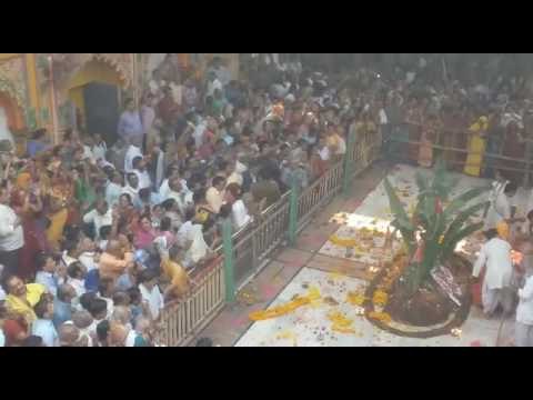 Govardhan puja celebration in Mathura