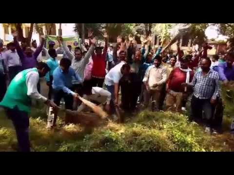 Trainee teachers pick up broom for appointment at allahabad