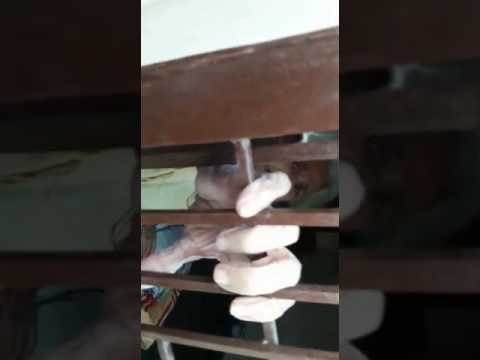 son and daughter in law Imprisoned at home mother and went to bihar for chhath puja