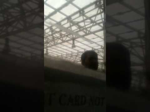 food zone of a mall accept 500 rupee notes in delhi