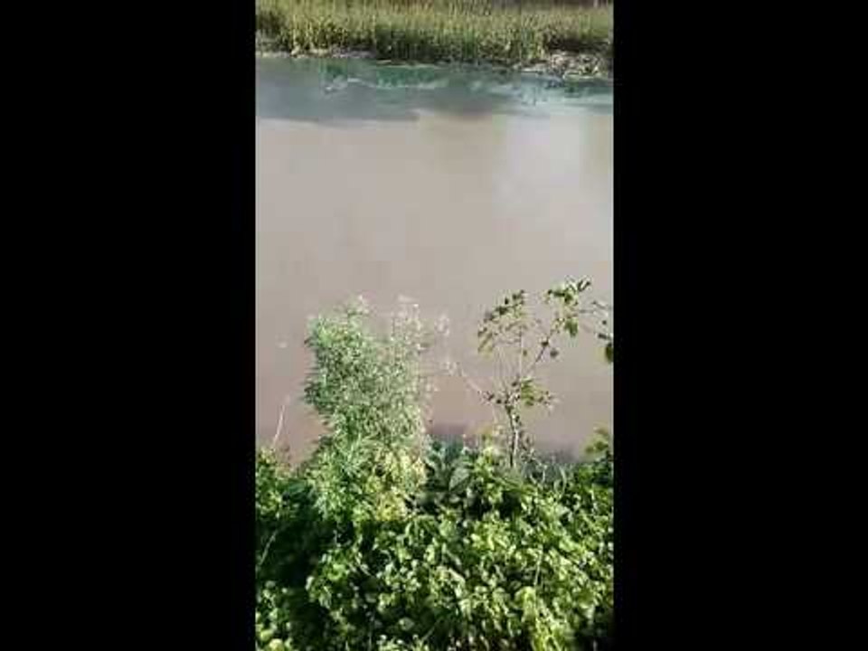 Canal broke in Bihar