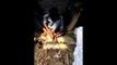 Cricket bats in making in Meerut Part-1