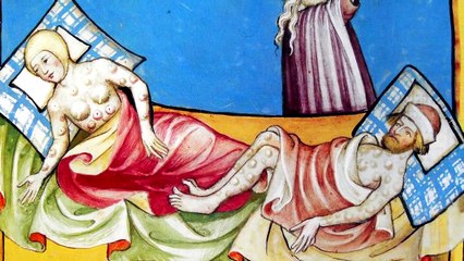 The 9 Most Painful and Deadliest Insect Bites