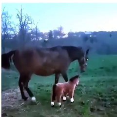 Ce que j’ai envie de faire quand j’ai mes écouteurs et qu’on veut me parler